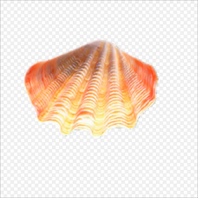 海贝