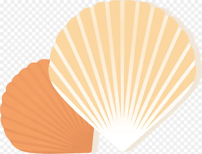 矢量贝壳