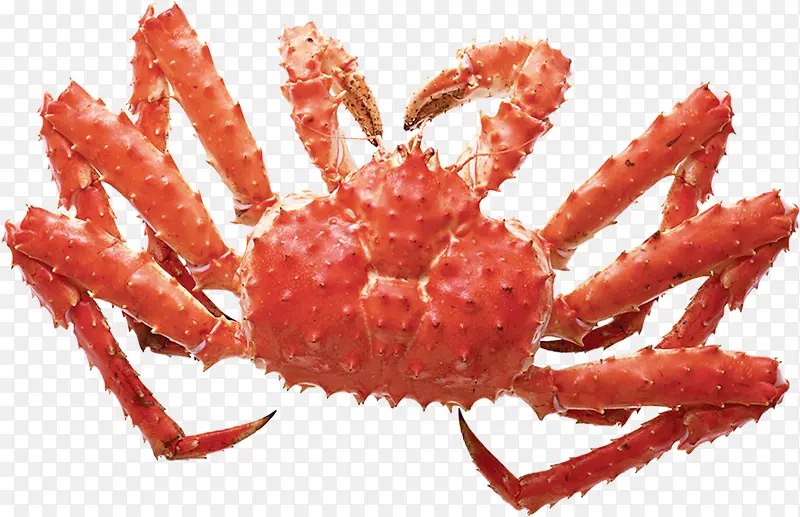 劳动节红色螃蟹海鲜
