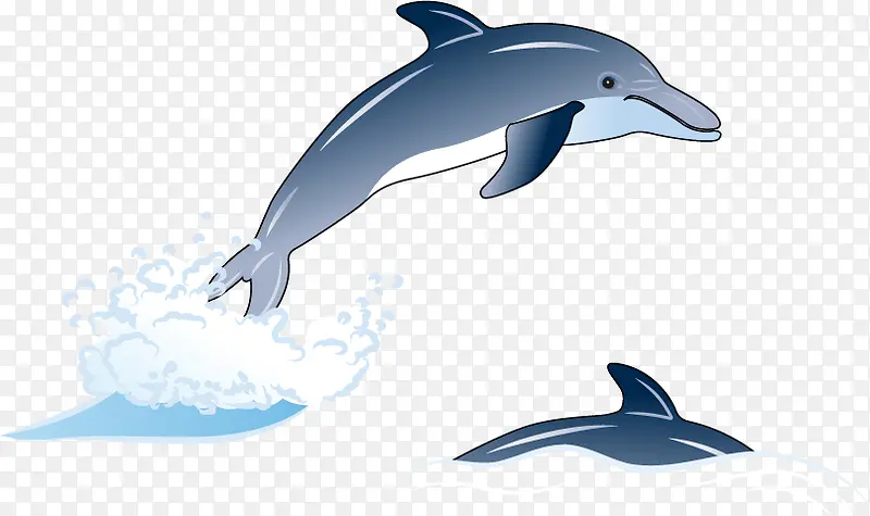 海中的海豚矢量效果元素