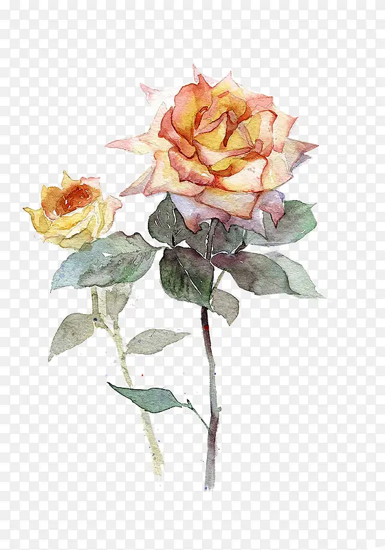 矢量手绘花卉