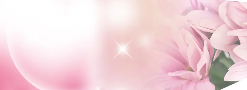 粉色花朵淘宝海报背景