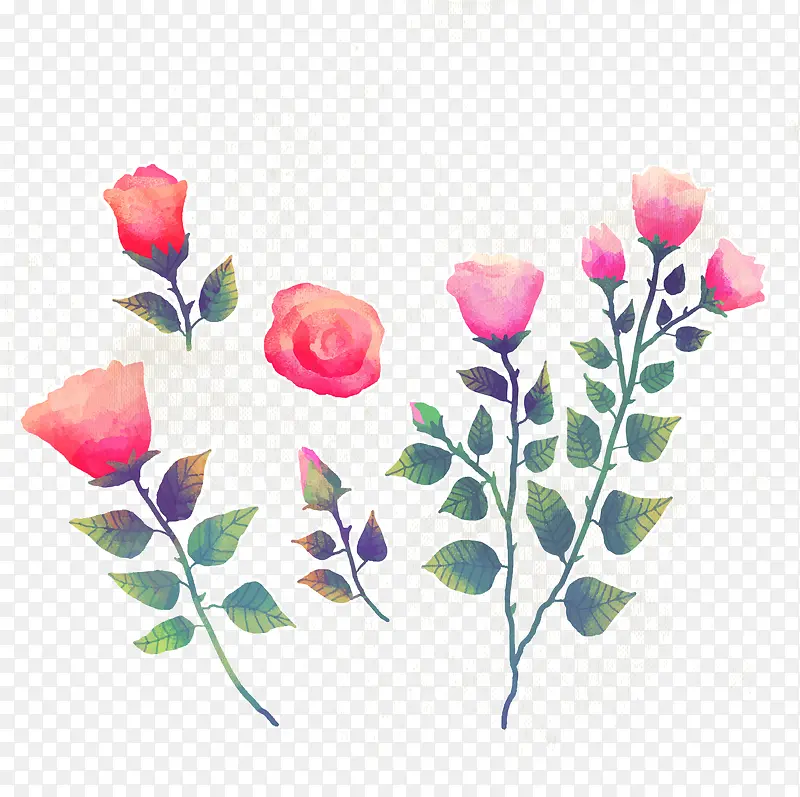 七夕情人节手绘水彩玫瑰