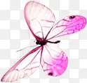 粉色透明蝴蝶七夕情人节