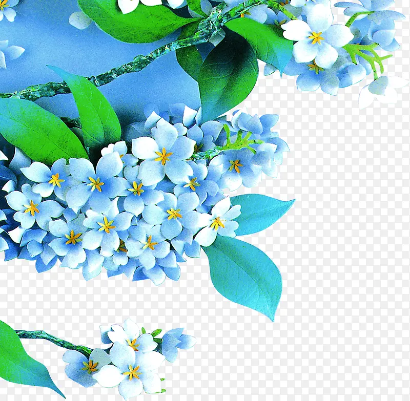 蓝色唯美花朵植物设计