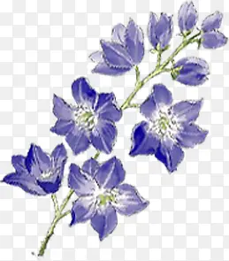 蓝色手绘花朵美景春季