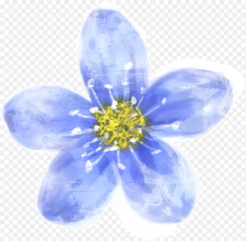 手绘清新蓝色花朵装饰