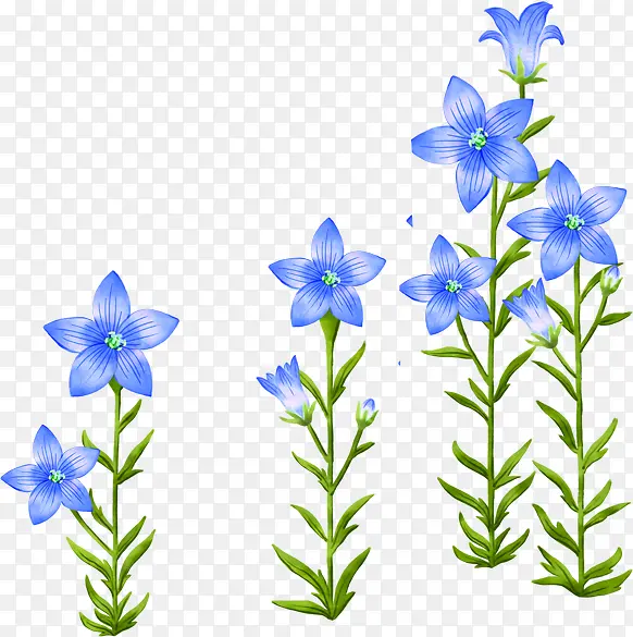 创意合成彩绘蓝色的花朵