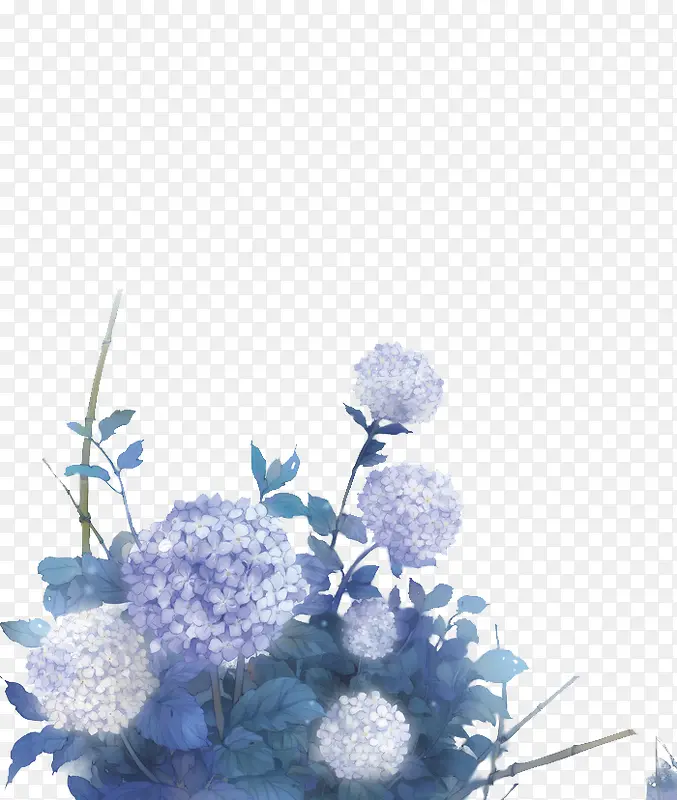 蓝花蓝色花朵彩绘