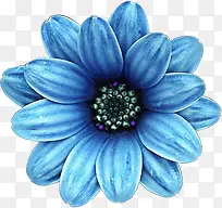 手绘教师节蓝色花朵