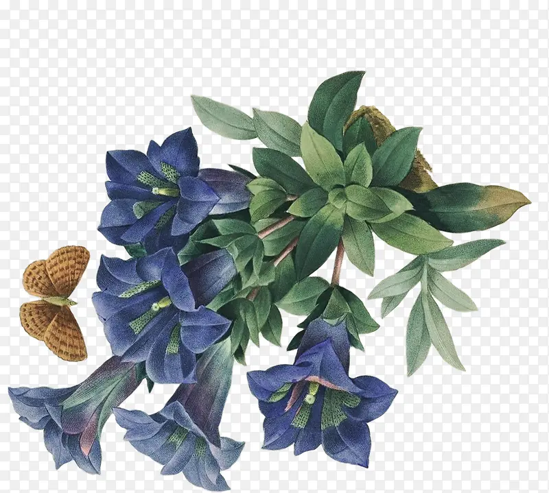 手绘蓝色花朵蝴蝶