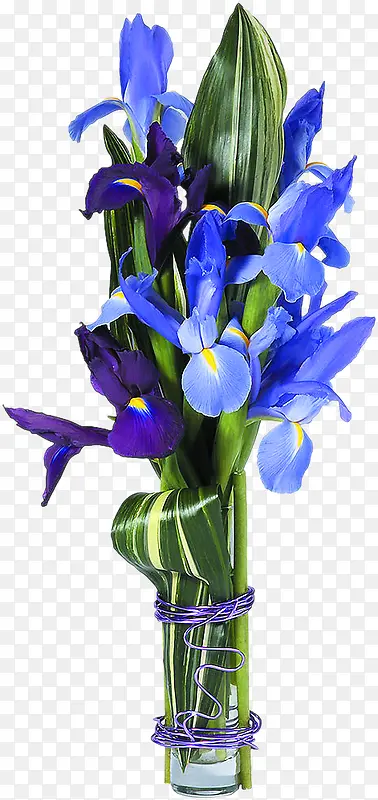 高清蓝色花朵鲜花