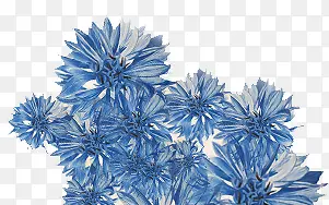 蓝色花朵手绘素材