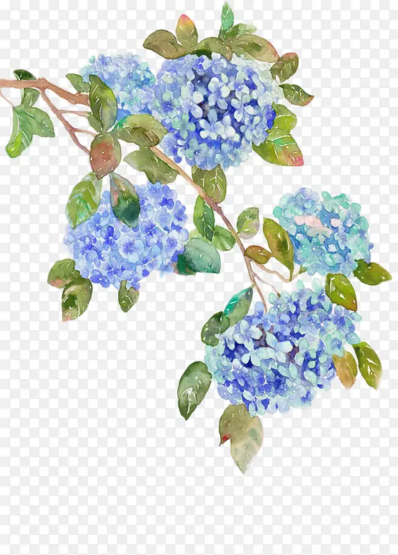 手绘蓝色花朵素材