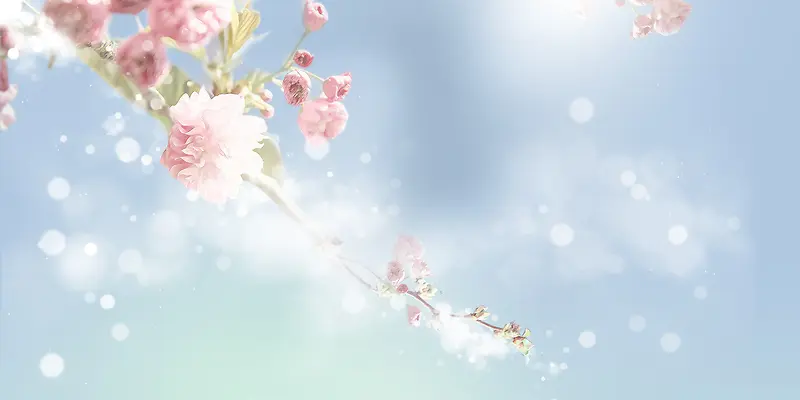 蓝色背景粉色花朵的海报