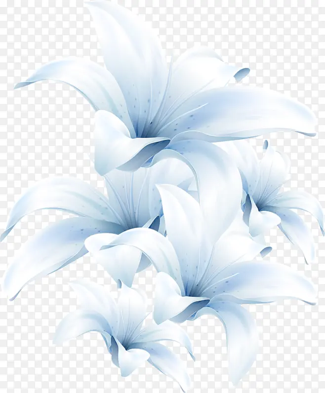手绘蓝色清新百合花朵
