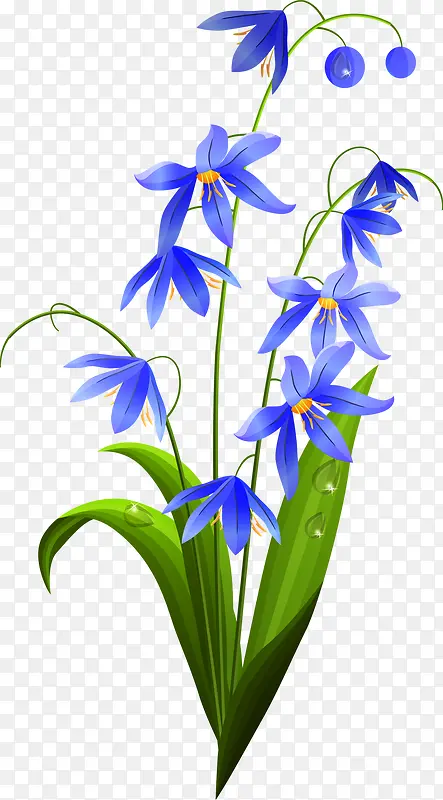蓝色花朵唯美植物