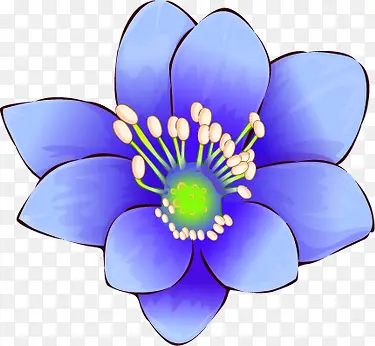 中秋节蓝色花朵包装