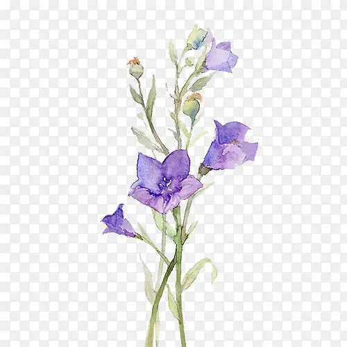 手绘蓝色花朵植物素材