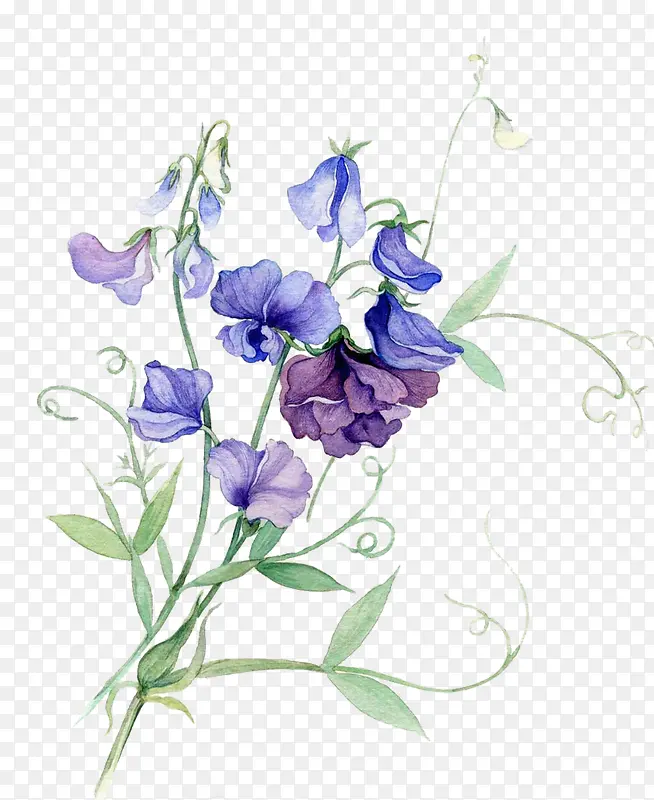 花水彩花朵蓝色花朵