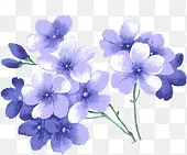 蓝色唯美手绘花朵节日