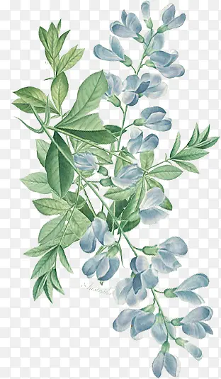 蓝色花朵素材标签