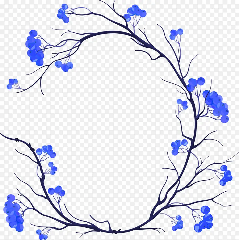  蓝莓树枝