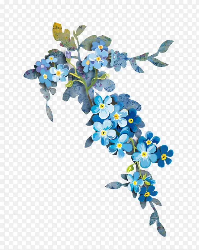 蓝色花朵植物唯美