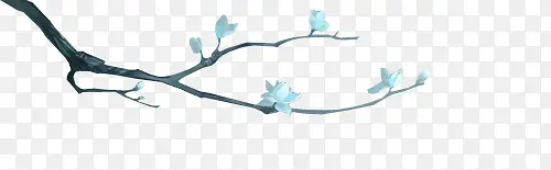 蓝色美丽花朵植物