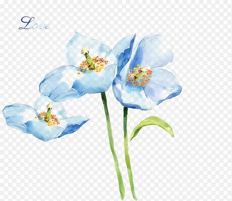 蓝色唯美水墨花朵