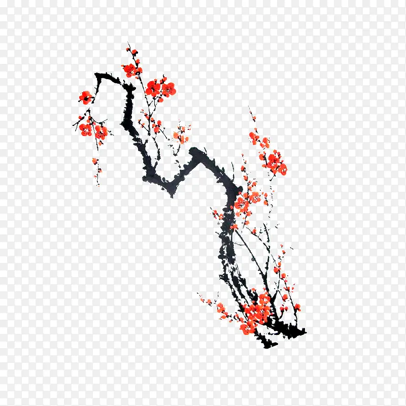 黑色树枝红色花朵花枝