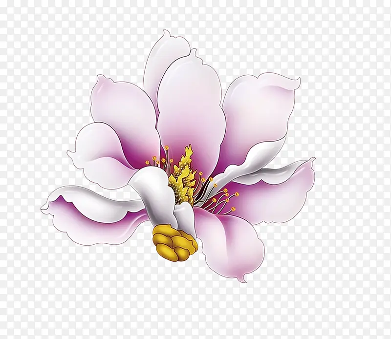 粉色玉兰花