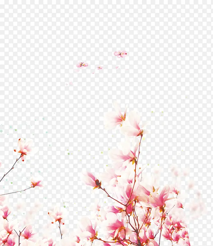 手绘粉色兰花