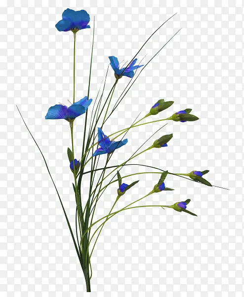 茂盛的兰花素材