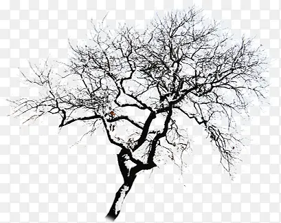 黑色冬季树枝装饰