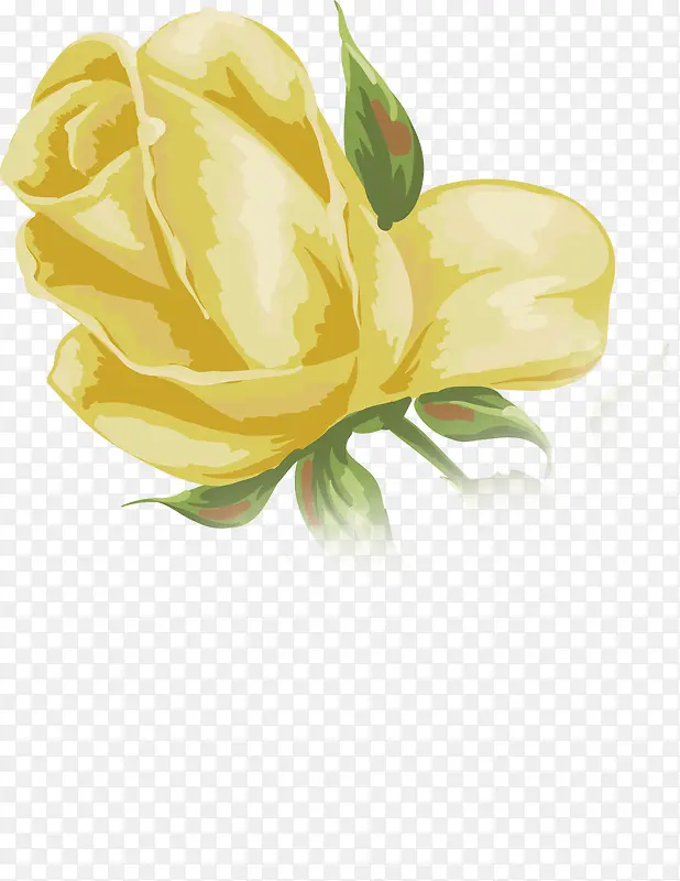 手绘黄色玫瑰婚礼效果素材