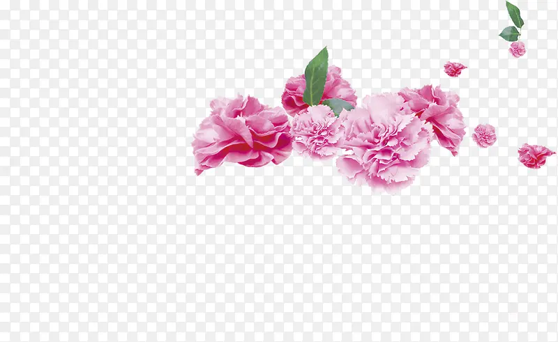 高清粉色花朵教师节