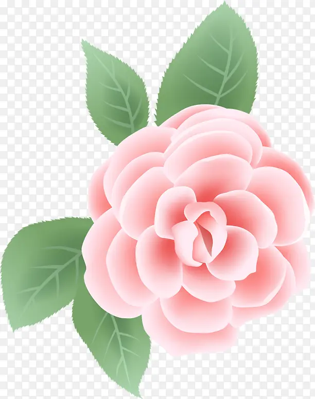 手绘粉色花朵教师节
