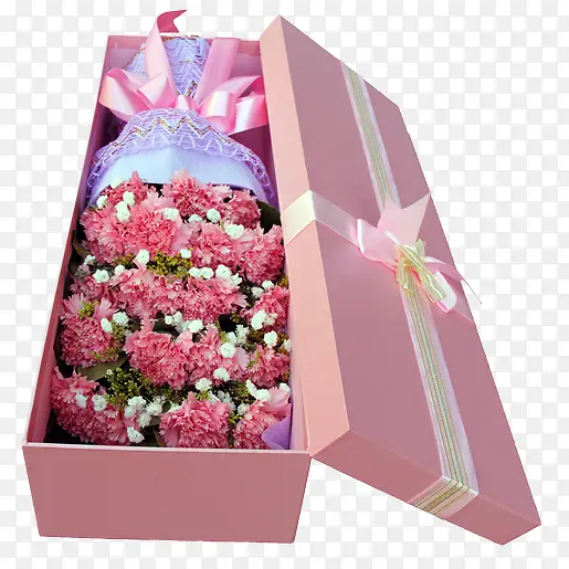 教师节礼物康乃馨植物花朵