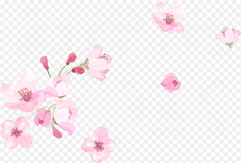 教师节粉色花朵贺卡