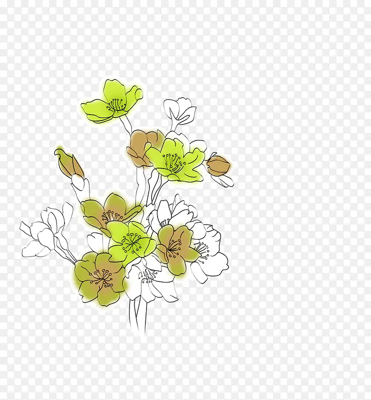 素描花朵