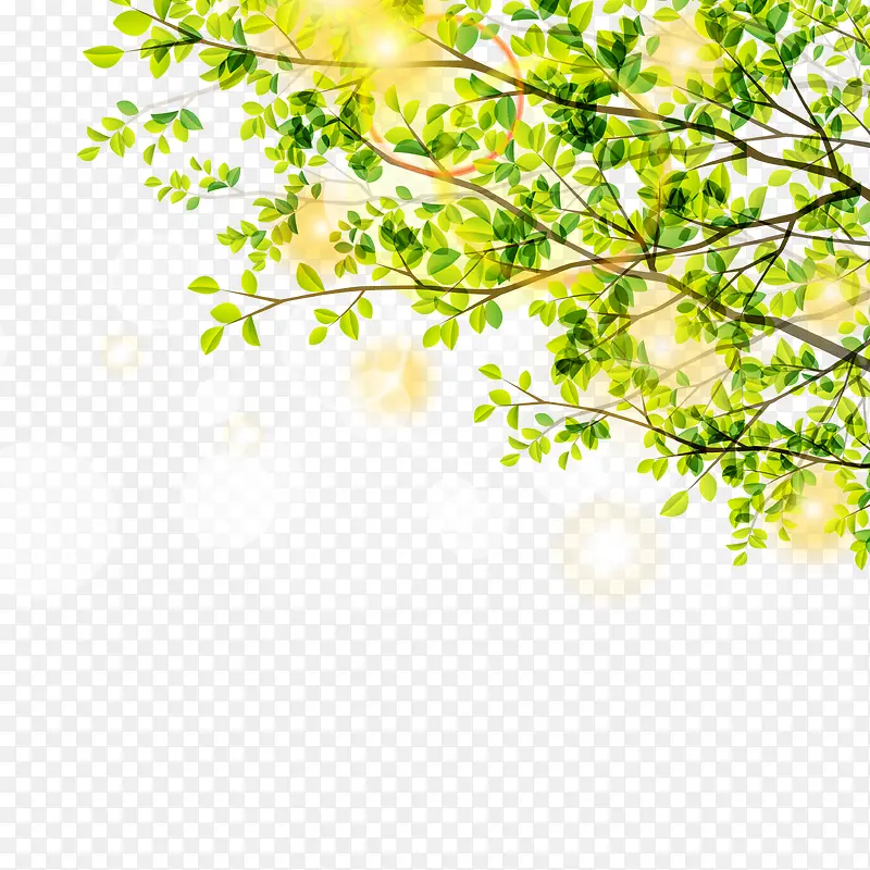 春季树木与阳光矢量素材