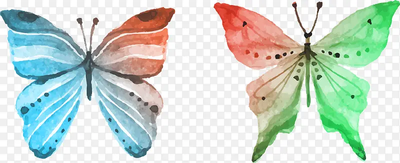 矢量手绘水彩蝴蝶