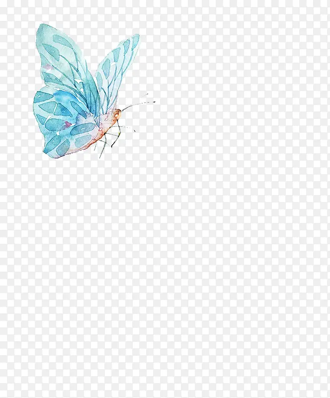 手绘水彩创意蓝色的花蝴蝶
