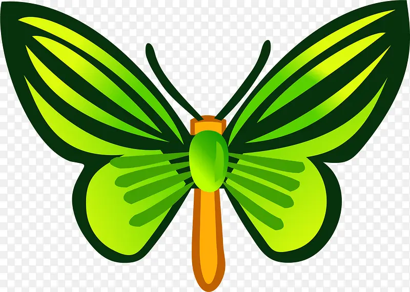 绿色蝴蝶矢量图