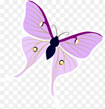 紫色梦幻手绘蝴蝶设计
