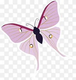 紫色手绘可爱蝴蝶