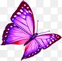 紫色卡通手绘蝴蝶装饰庆典