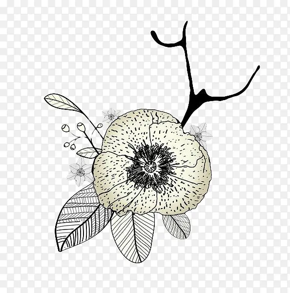 手绘线描花卉