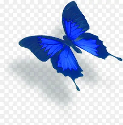 蓝色手绘绚丽蝴蝶